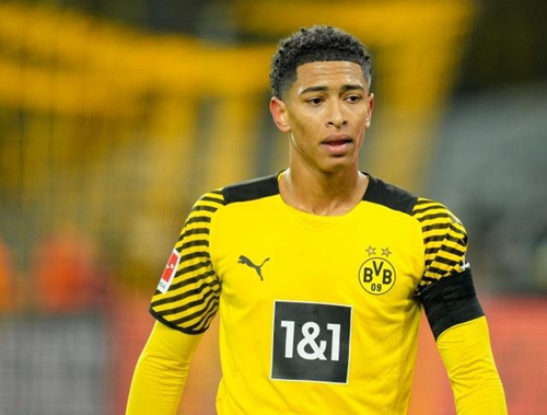 欣赏到了顶 欣赏到了顶